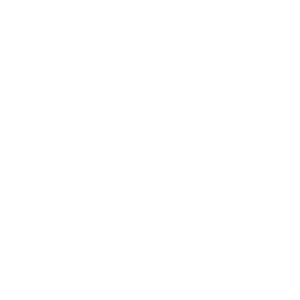 Durbin Creek Insurance - Logo Icon White
